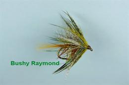 Bushy Raymond